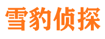 安县市调查公司